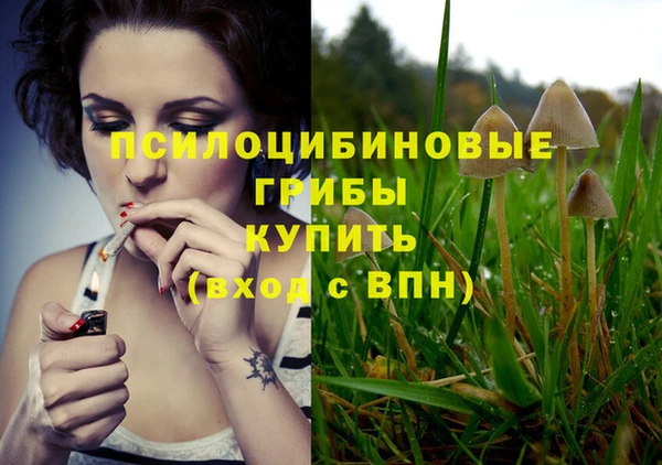 бошки Карталы