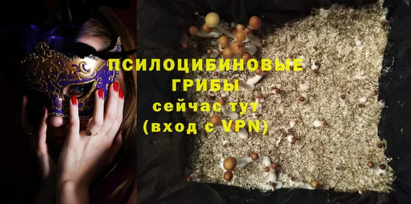 МДМА Карпинск