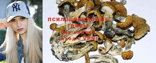 экстази Касимов