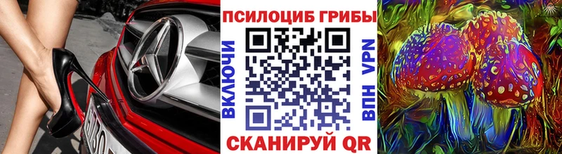 Купить закладки Удомля Галлюциногенные грибы MAGIC MUSHROOMS